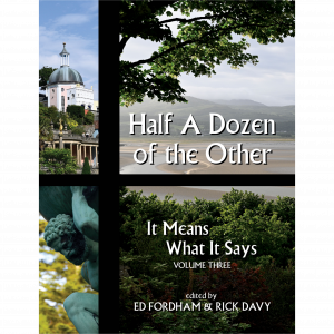 Half A Dozen of The Other Paperback Book